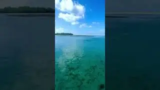 The BEST Sandbar in Key West