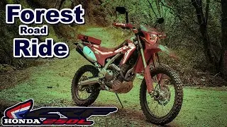 Honda - Forest Road Ride - Dual Sport Adventure