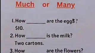 English Grammar Exercise - HOW MUCH | HOW MANY | English Rules