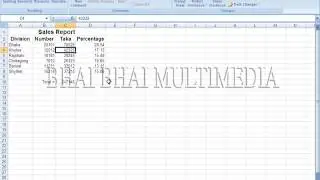 Microsoft Excel 2007-Review=1:Protect Sheet