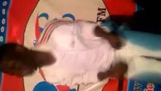 De   Page perform Letter to E C G  dum Sor  ar somanya kloyosikplrm