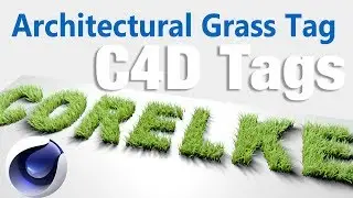 Architectural Grass Tag Tutorial #CINEMA 4D