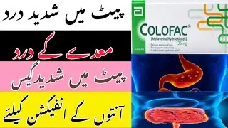 Colofac Tablet uses in urdu | How to use Colofac Tablet 135mg | Mebeverine tablet uses and benefits