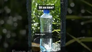 Mind-Blowing Water Facts You Didn&rsquo;t Know! 💧🌍 #Shorts