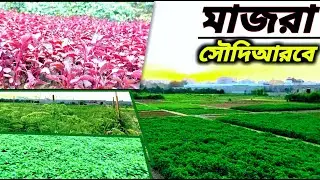 Majra in Saudi Arabia 🇸🇦 | সৌদিআরবে মাজরা কেমন হয় দেখুন | Khalil Series
