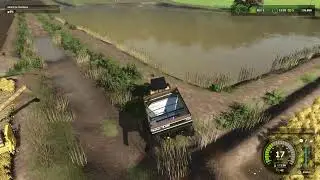 colheita do arroz. Mapa Turvo