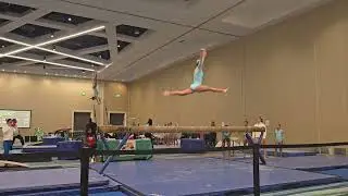 Holiday Classic - Beam