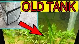 how to set up planted tank | free low tech aquarium old aquarium restore tank for beginner in hindi