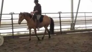 Cordeo? No, Hulahoop! Bridleless Riding with Kiger Mustang
