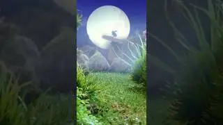 A WEREGERBIL? 😳 Crayola Washimals - Toymation #shorts