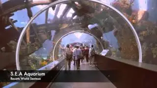 [VLOG] RWS Grand Opening