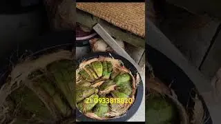 C&aacute;ch l&agrave;m k&eacute;n chuy&ecirc;n nghiệp cho đu&ocirc;ng dừa- hướng dẫn kĩ thuật nu&ocirc;i đu&ocirc;ng dừa tại nh&agrave;