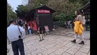 日本旅遊｜勝尾寺｜不倒翁寺廟