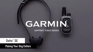 Support: Delta&reg; SE Dog Collar/Transmitter Pairing