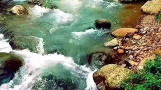 🌊 River Sounds ASMR 🔥 Deep Sleep Instantly | 10 H No Talking