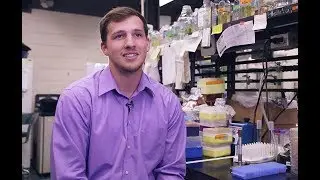 Undergraduate Research in the LSU College of Science