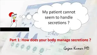 Amazing ways your body handles respiratory secretions ?