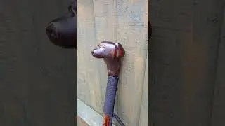 Hand carved dog's head walking stick.  #woodcraft #carving #walkingsticks #reclaimed #dogs