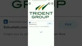 trident group best penny stock | buy now