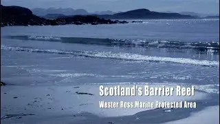 Pink Maerl and Salmon Farms &ndash; Jason Hall Spencer in the Highlands