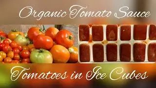 preserving tomatoes | ice cubes tomatoes | organic tomato sauce #filamcountryliving
