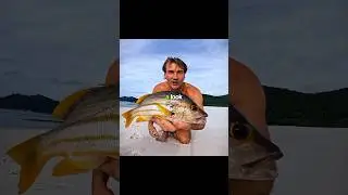 @Wadepapenfus caught a stripped Sniper. #seafood #wildlife #fishing #fish #cooking