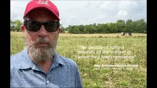 Recovery after Grazing