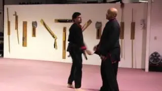 20 Year Demo Pa Kua Application Master Reid