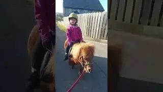 Practicing her Welsh Poem for the Eisteddfod at school 🏴󠁧󠁢󠁷󠁬󠁳󠁿 | Pony Fun #shorts