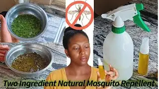 🍃 How to Make a Natural Mosquito Repellent with Lemon Grass and Rosemary Leaves 🌿