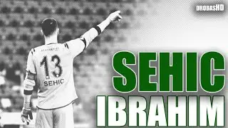 Ibrahim Sehic | 2020/2021 | Konyaspor | Best Saves | Cheetah