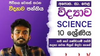 2025 10 ශ්‍රේණිය පලාත් ප්‍රශ්නපත්‍රය විද්‍යාව msq part B