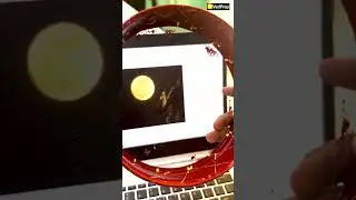 Karwa Chauth Special | Student Edition | VedPrep Chem Academy