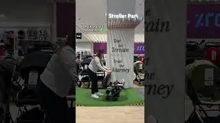 Strollers Review - Our Store Experts