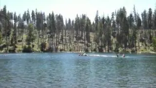 Scout Lake