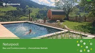 Naturpool: Bau und Funktionsweise &ndash; chemiefreier Betrieb