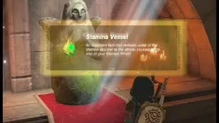 How To Increase Stamina In Legend Of Zelda Tears Of The Kingdom