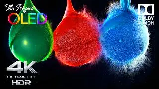 The Perfect OLED Display Test in 4K HDR 240 FPS Dolby Vision