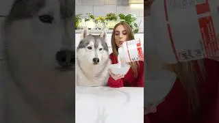 Come CREARE UN ADESIVO NATALIZIO🎅🏼😍🎄 #tutorial #creazioni #creative #cane #dog