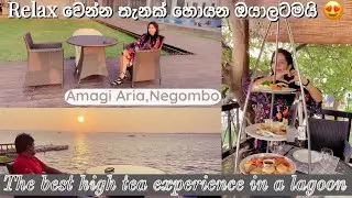 The origins of afternoon Tea with sunset|Amagi Aria Negombo|ඉර බහිනවා බලන ගමන් හයි ටී එකක රස බලමුද?