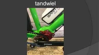 Santos custombuilt travel lite Pinion Gates Carbondrive Ride Bike Meijel
