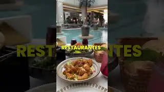 El nuevo epicentro del lujo en Miami🔥