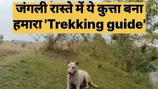In the Forest areas of #Chitrakoot village this Dog became our #Trekkingguide..#travelvlog