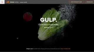Parallax Backgrounds Widget in Adobe Muse | MuseThemes.com