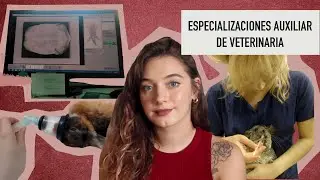 ESPECIALIZACIONES AUXILIAR DE VETERINARIA