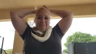 Hanging out with my Ball Python &hearts;️