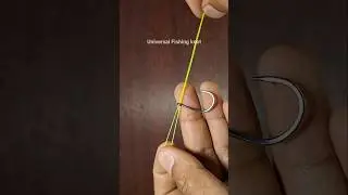 Easy tips for fishing v169 #fishingtips #fishing #palomar