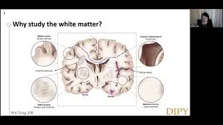 Introduction to computational neuroanatomy