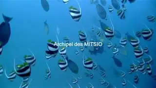 Croisi&egrave;re  plong&eacute;e ARCHIPEL DES MITSIO