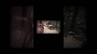 Truck vs. Trail: Deep Mud & Rocks on a Colorado 4x4 Adventure @outlaw9232 and @ICEMAN_777